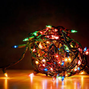 Meet your Posher, Laila